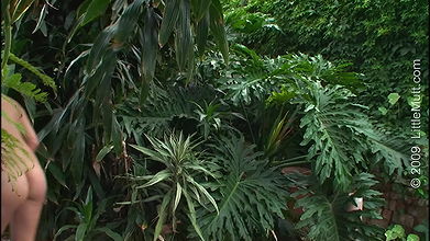 8101316Kelli Stone PEE fullpissing